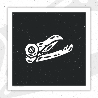 Bird Skull I 10"x10" Art Print