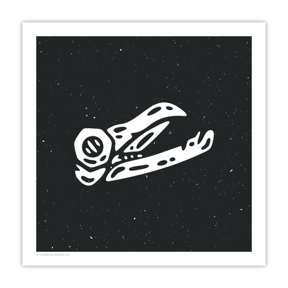 Bird Skull I 10"x10" Art Print